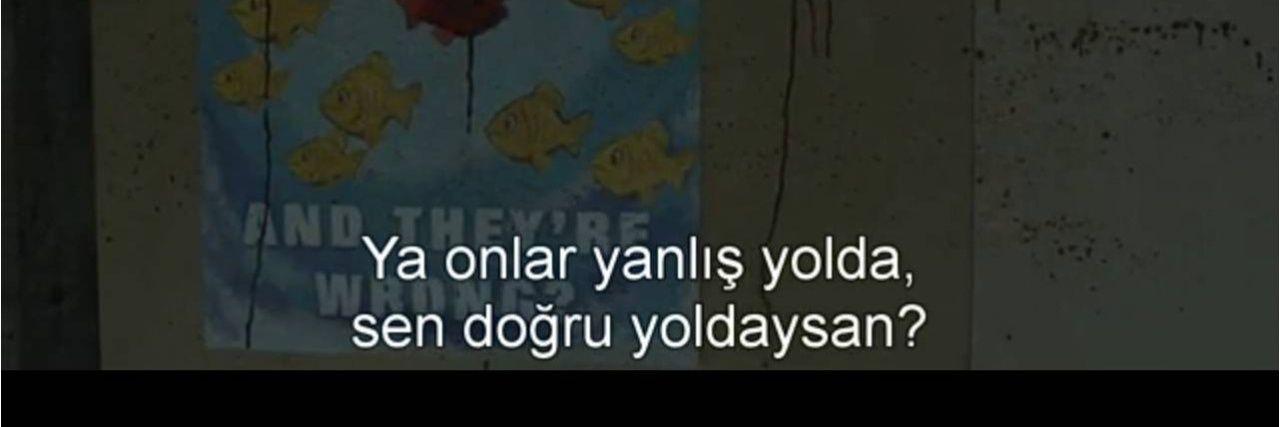 alininaysesi_'s profile banner image