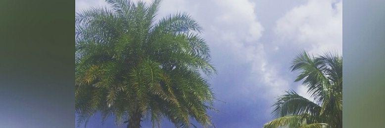 kiarelizzy123's profile banner image