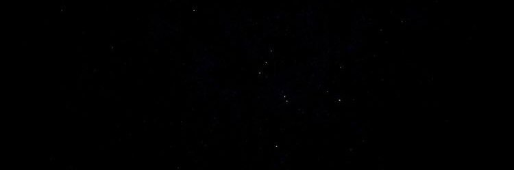 Virginia_Bravo_'s profile banner image