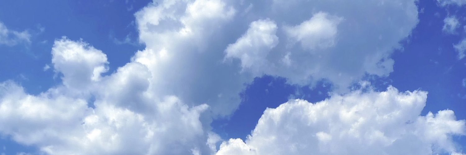 Juneduncn5's profile banner image