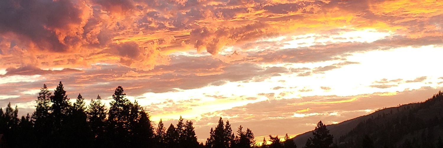 mtroamer's profile banner image