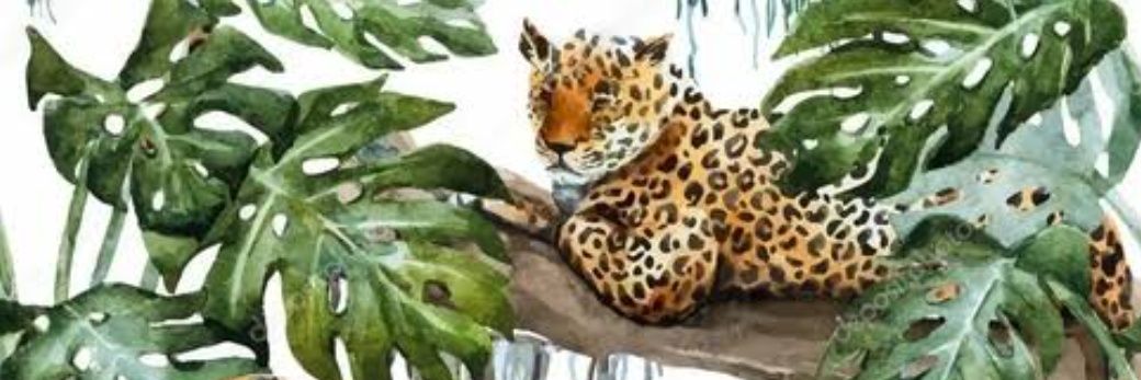 Luanatelles15's profile banner image