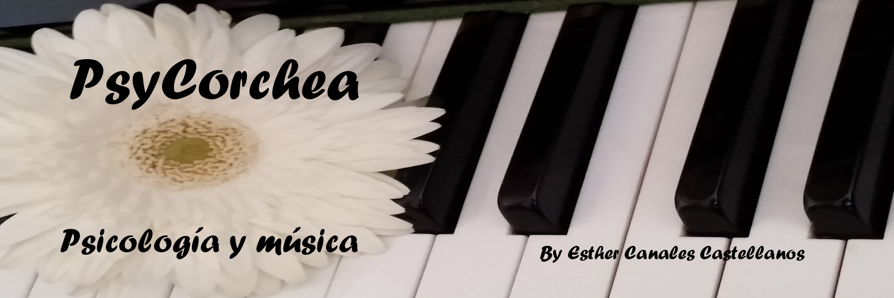 PsyCorchea's profile banner image