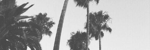 TMWYKABL's profile banner image