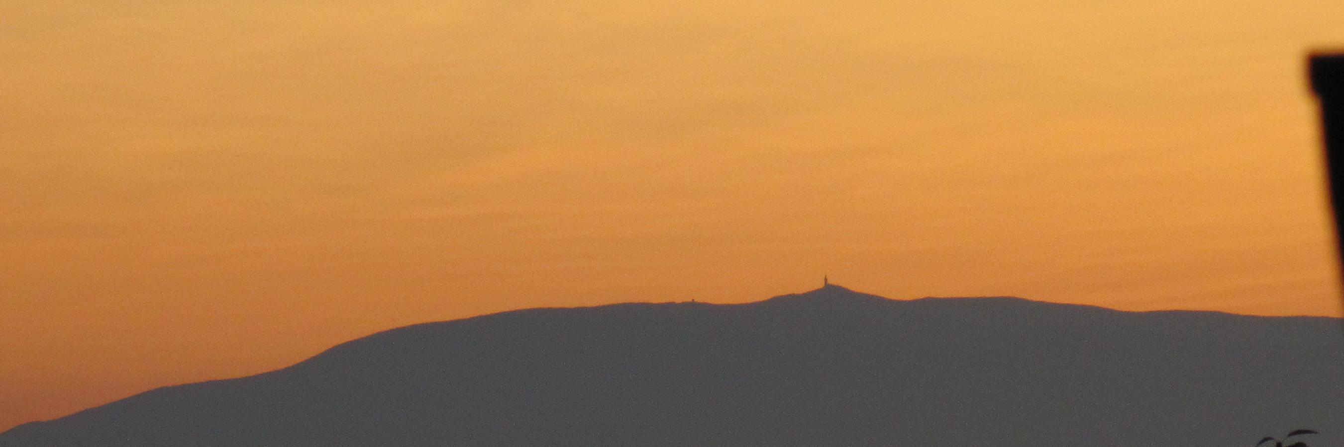 Stephen Allott banner