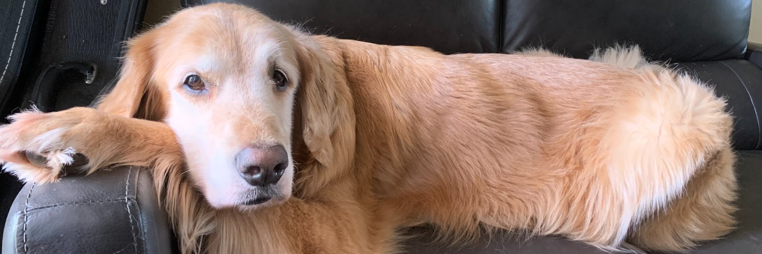 Barbara Jordan banner