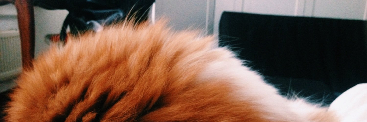 Camee_x's profile banner image