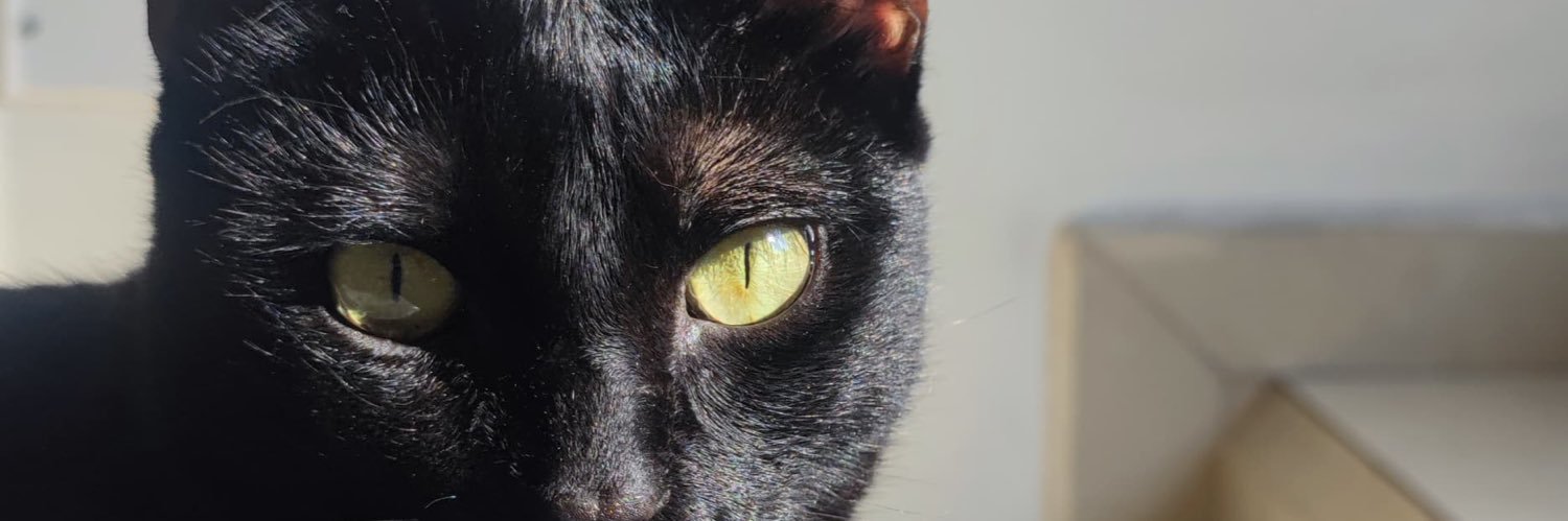 GabrielaRon99's profile banner image