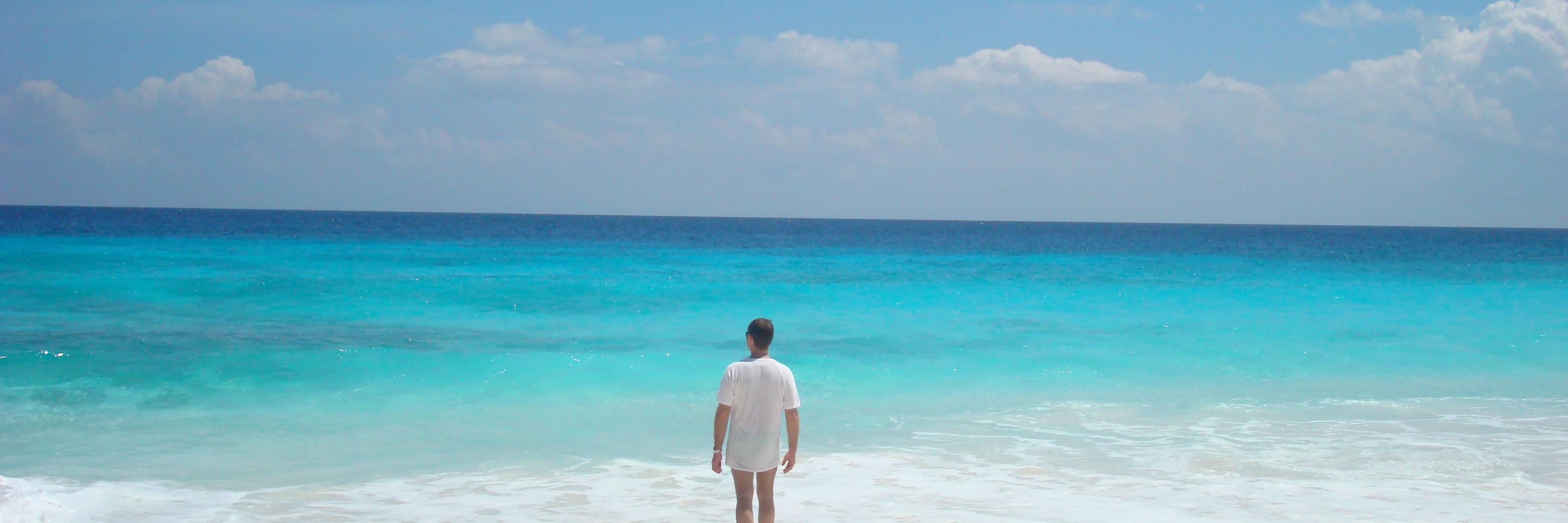 p_paulic's profile banner image