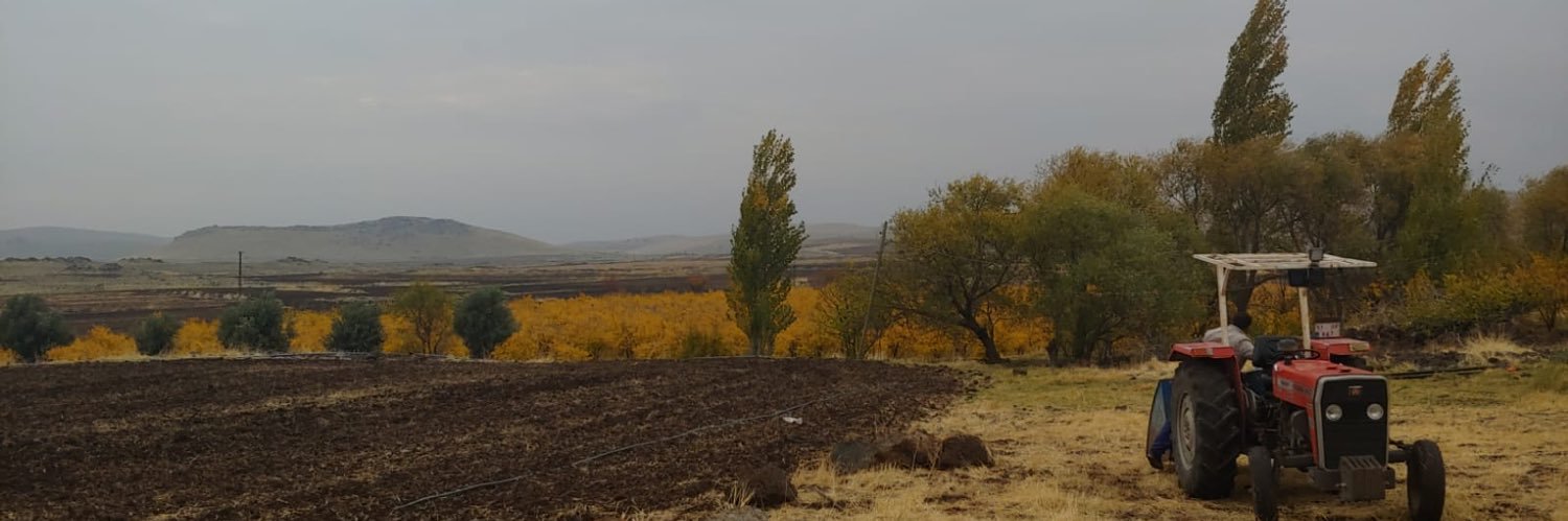 leonelveyssi's profile banner image