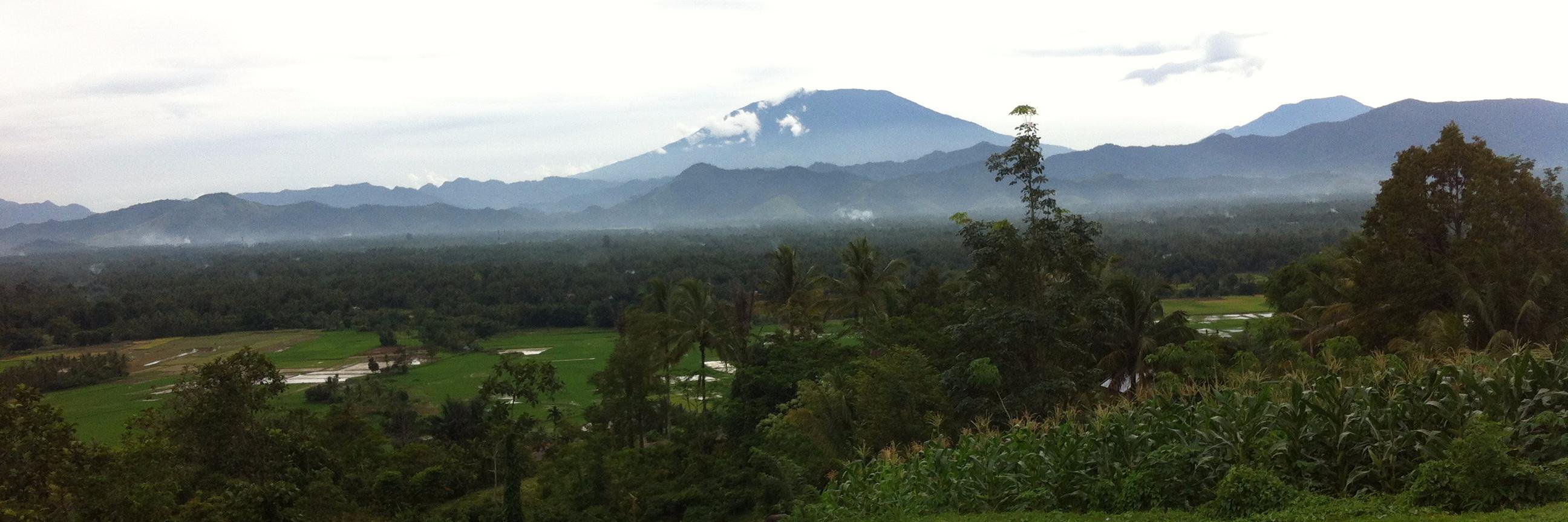 aseliacan's profile banner image