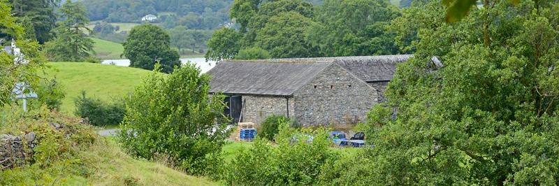 Jonathan Robb banner