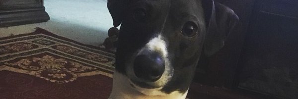 keanudointhings Profile Banner