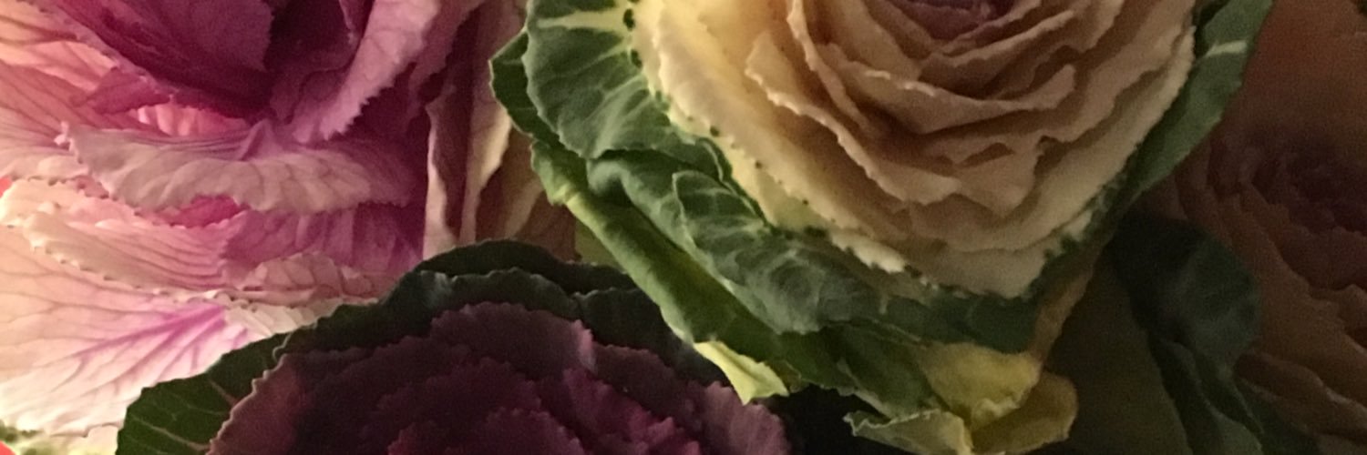 suelesko's profile banner image