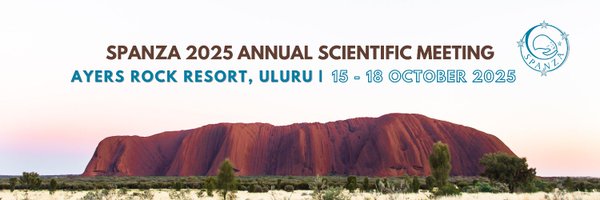 spanzaconf Profile Banner
