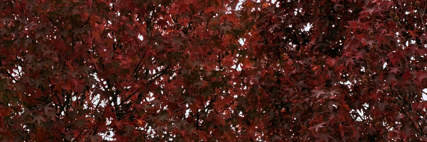 hmatht's profile banner image
