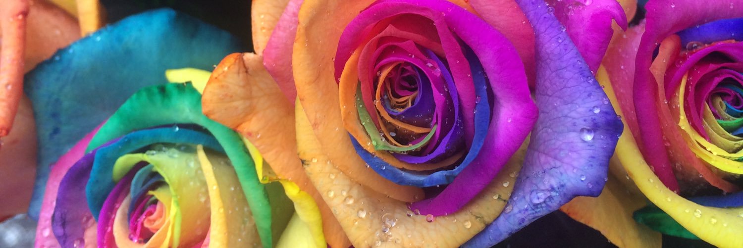 HattieFellOver's profile banner image