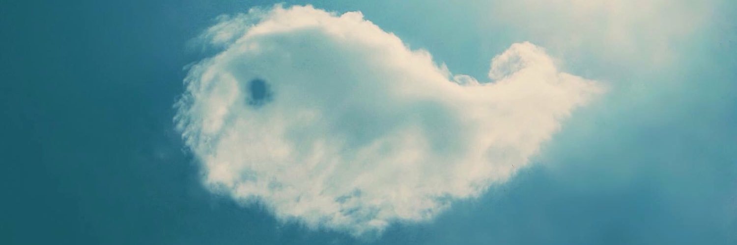 ra41976's profile banner image