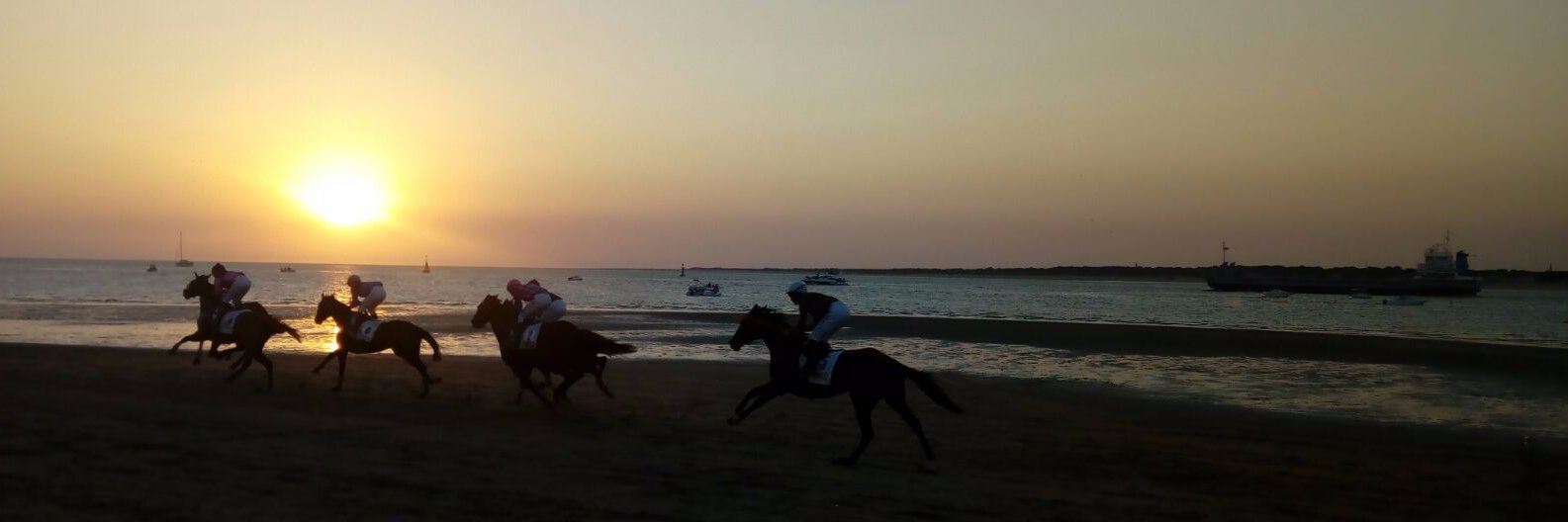 Meridiana_Sur's profile banner image