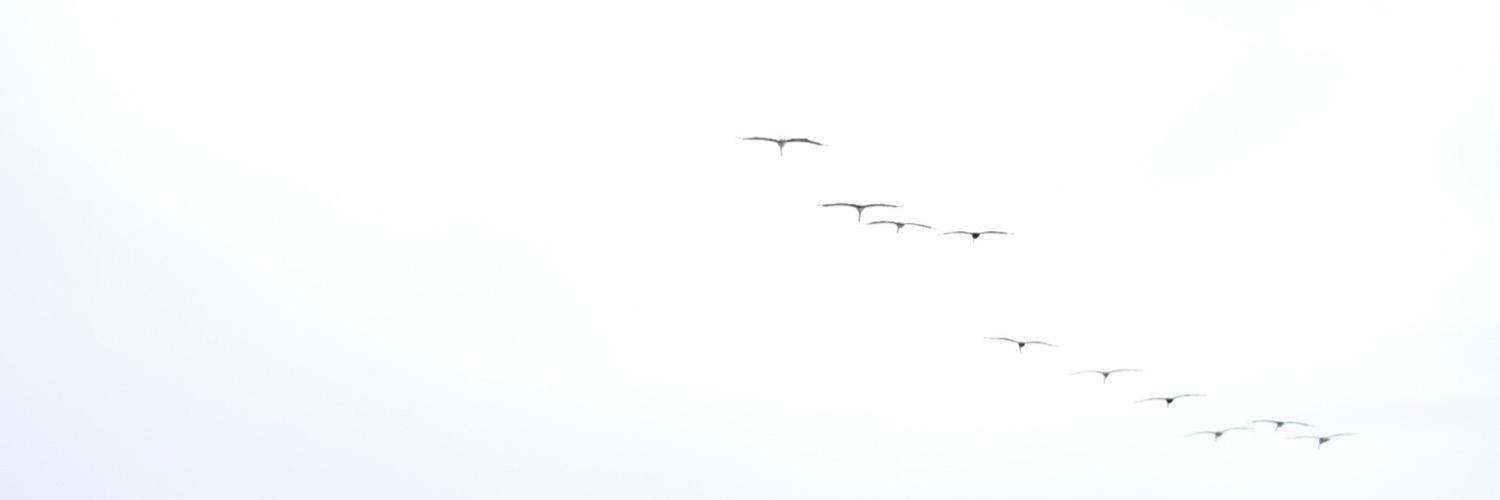 cassidyrobinson's profile banner image