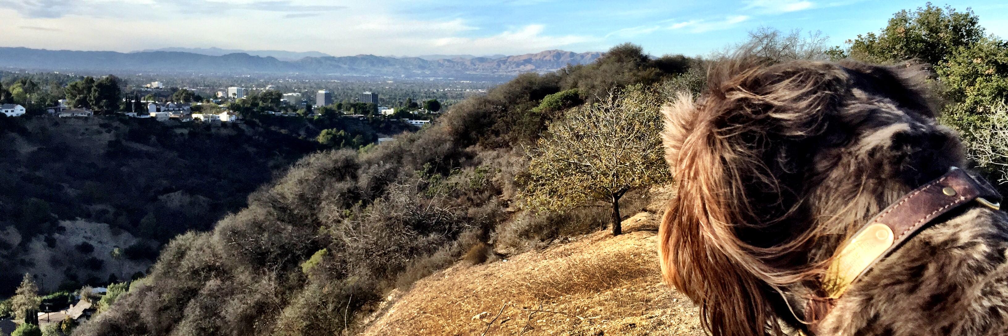 labraniche's profile banner image