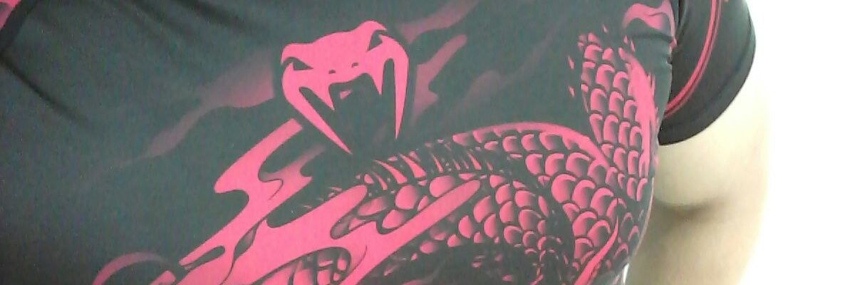 VuelaDragon's profile banner image