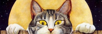 whereslilly's profile banner image