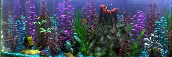 totalcrashout Profile Banner