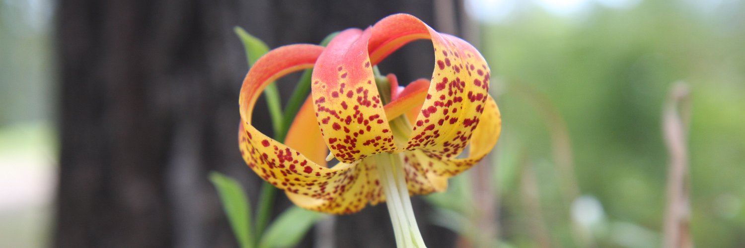 NRCS Mississippi banner