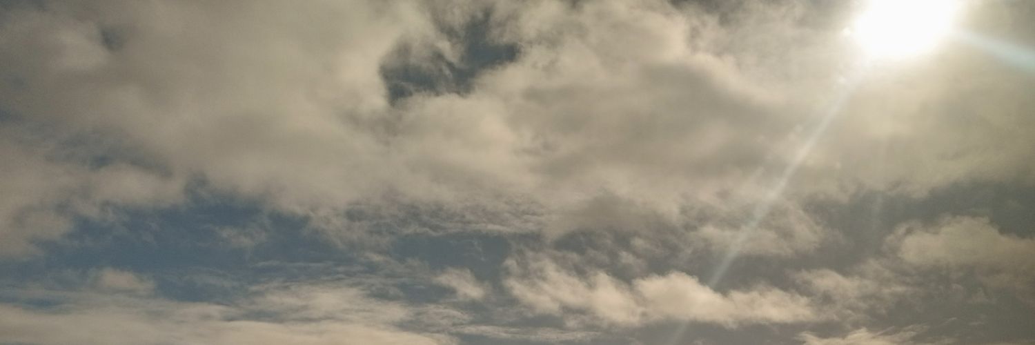 Cali_Communist's profile banner image