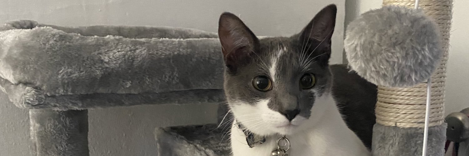 GinaaWardd's profile banner image