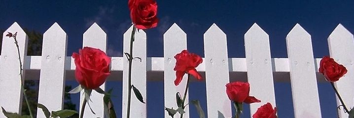 ponjavientuvida's profile banner image
