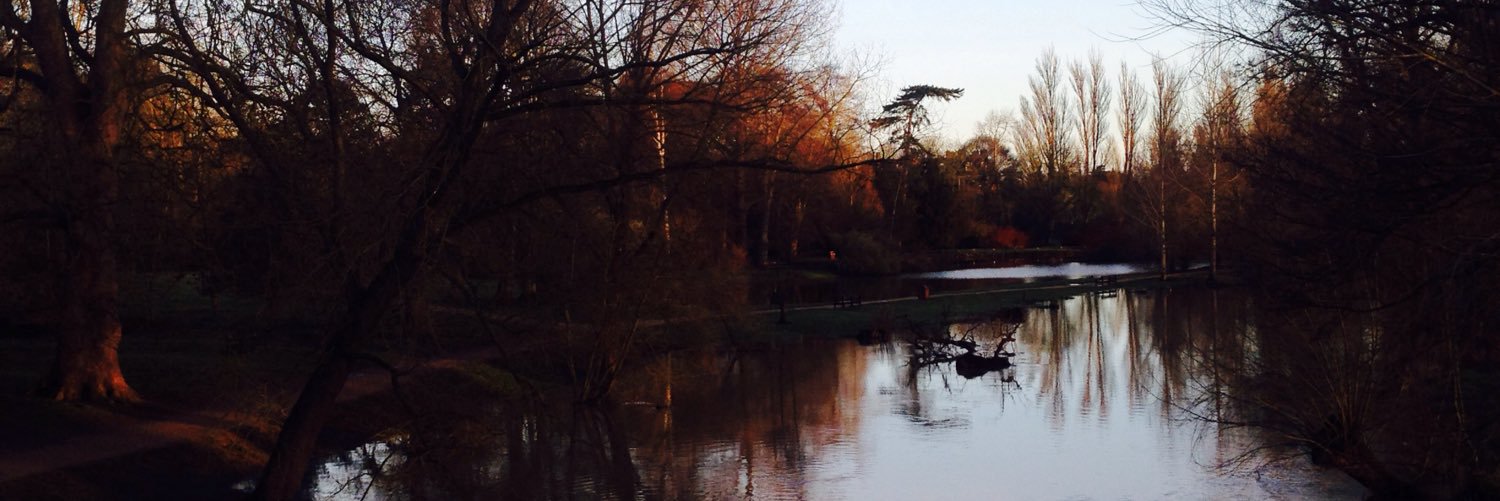 Michelle Sewell banner