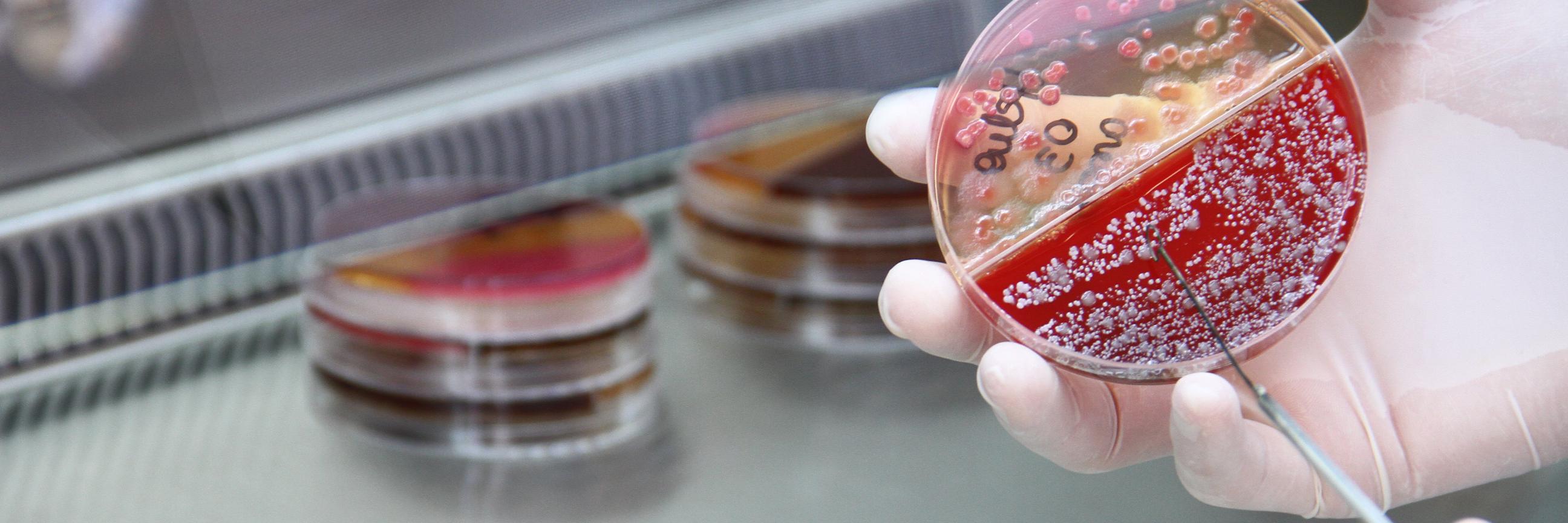 Biomed_Univates's profile banner image