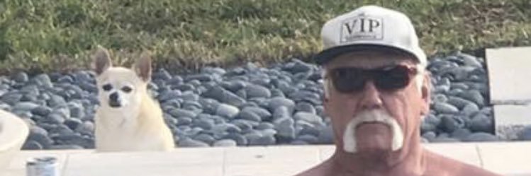 rakanisnice's profile banner image