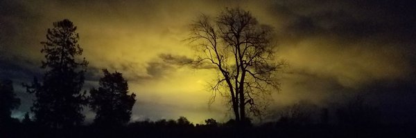 DBWyld Profile Banner