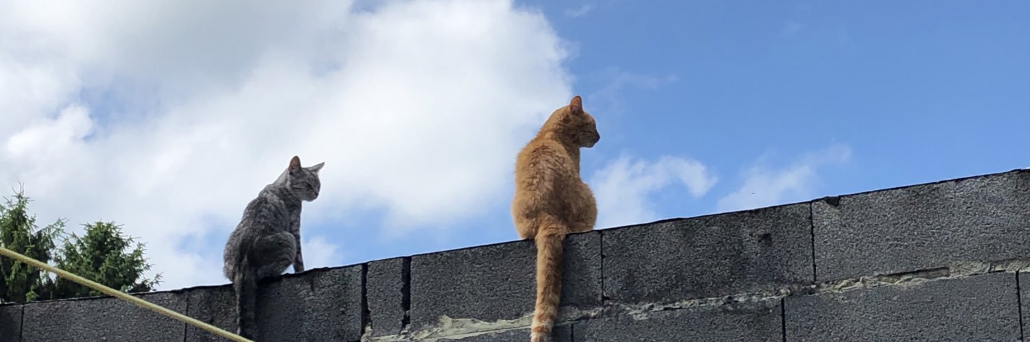 PouuceThom's profile banner image