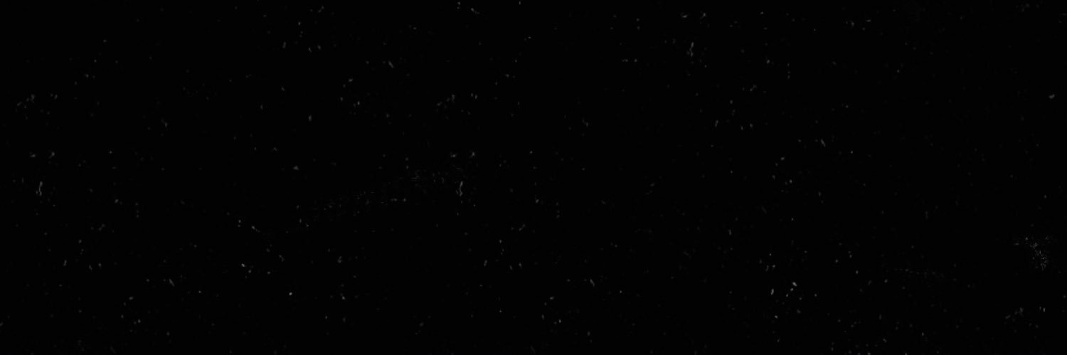 elfkbragur's profile banner image