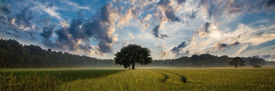 SpectreBens's profile banner image