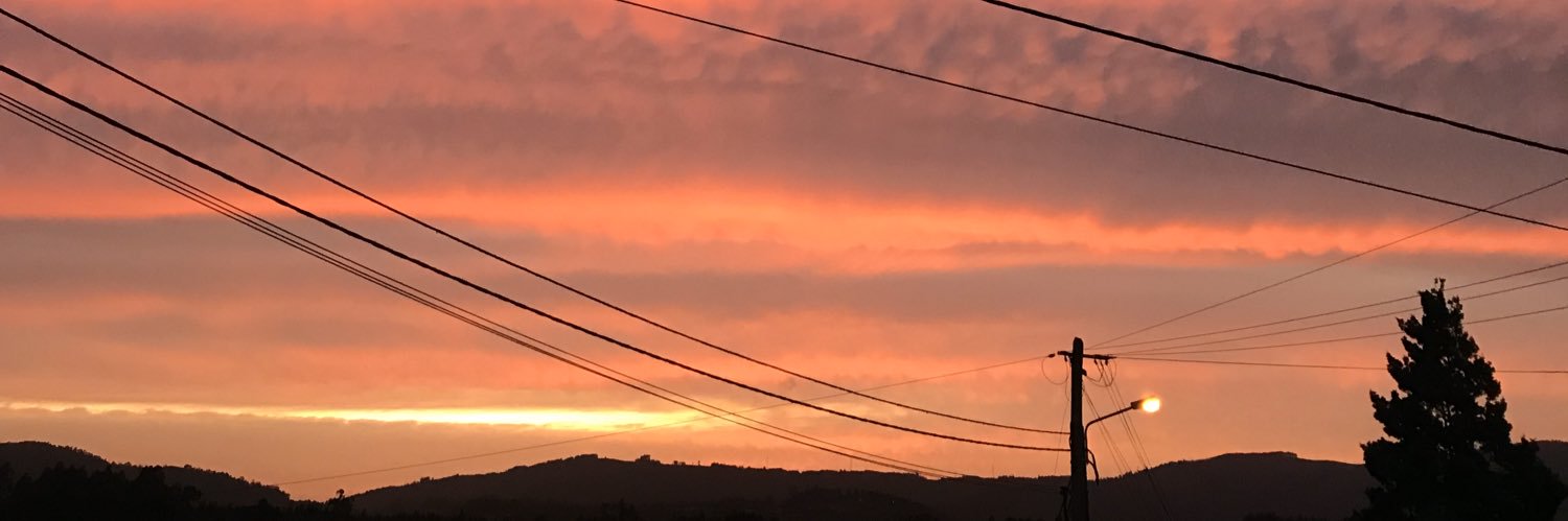 inesvdcn's profile banner image