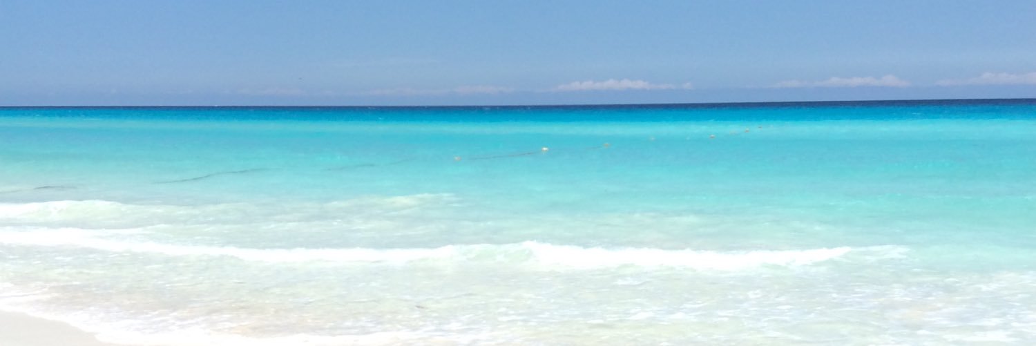 saratweetshere's profile banner image