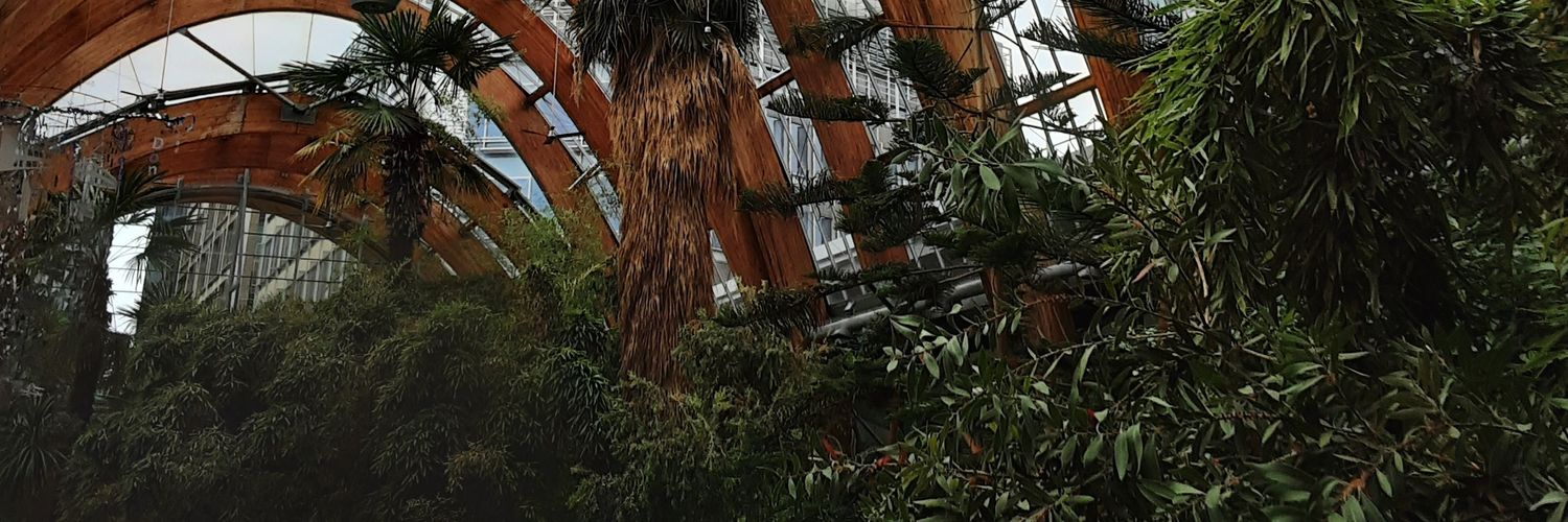 weirddiction's profile banner image