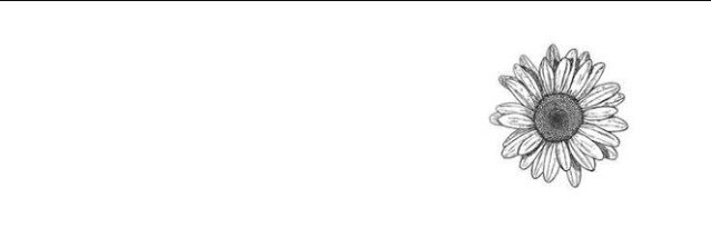 biancaleiria's profile banner image