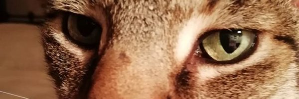 johnchapman398 Profile Banner