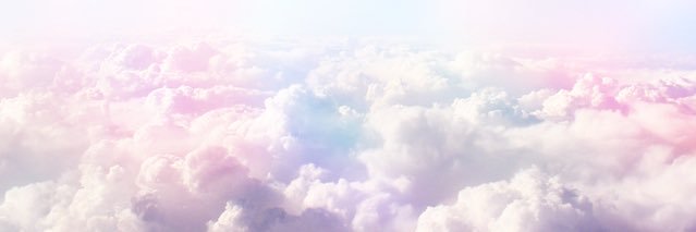 💜🌸 banner