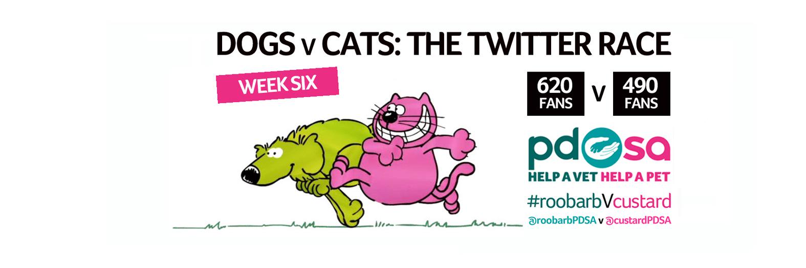 CustardPDSA's profile banner image