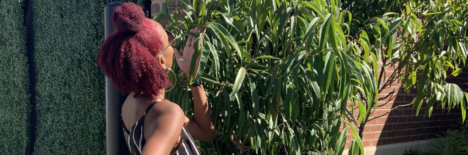 taylorcorinnn's profile banner image