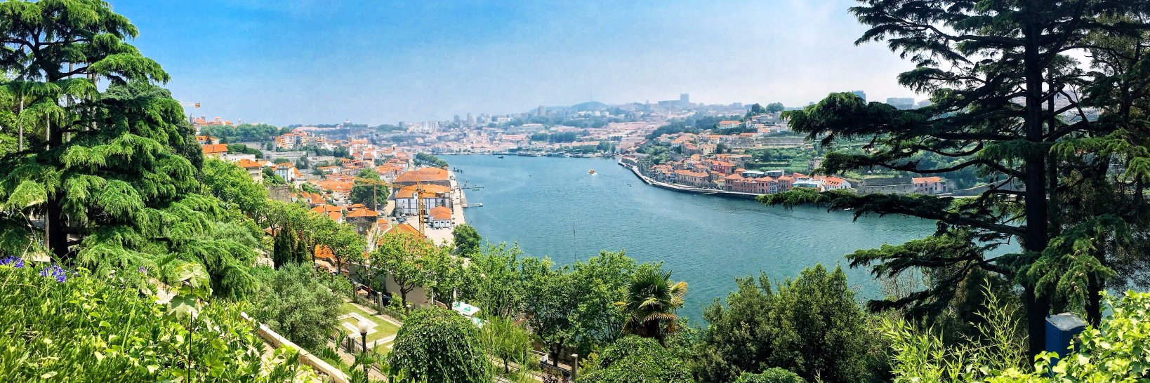 Maria Livia C. banner