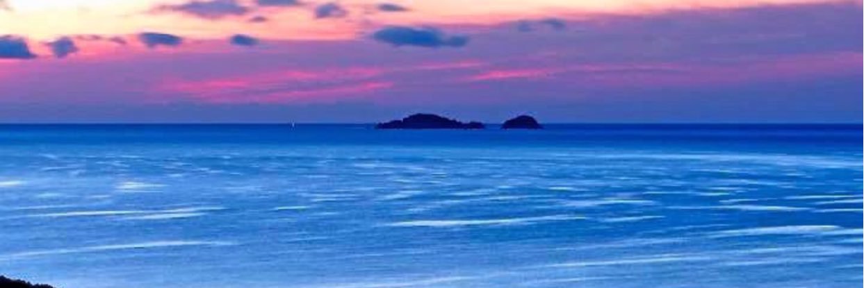 Pascal LAMOURETTE banner