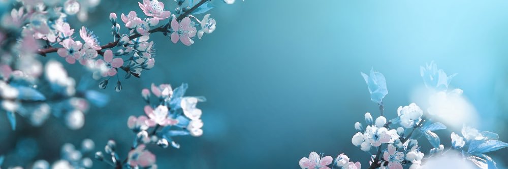 JMM ❤️ banner